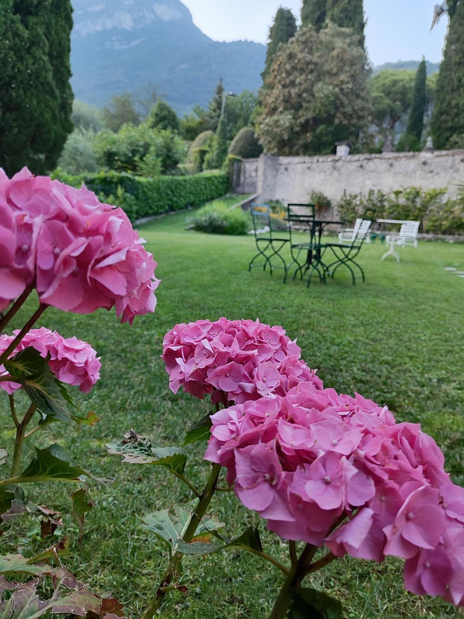 Casa Lumaca Bed & Breakfast Tremezzo Eksteriør bilde