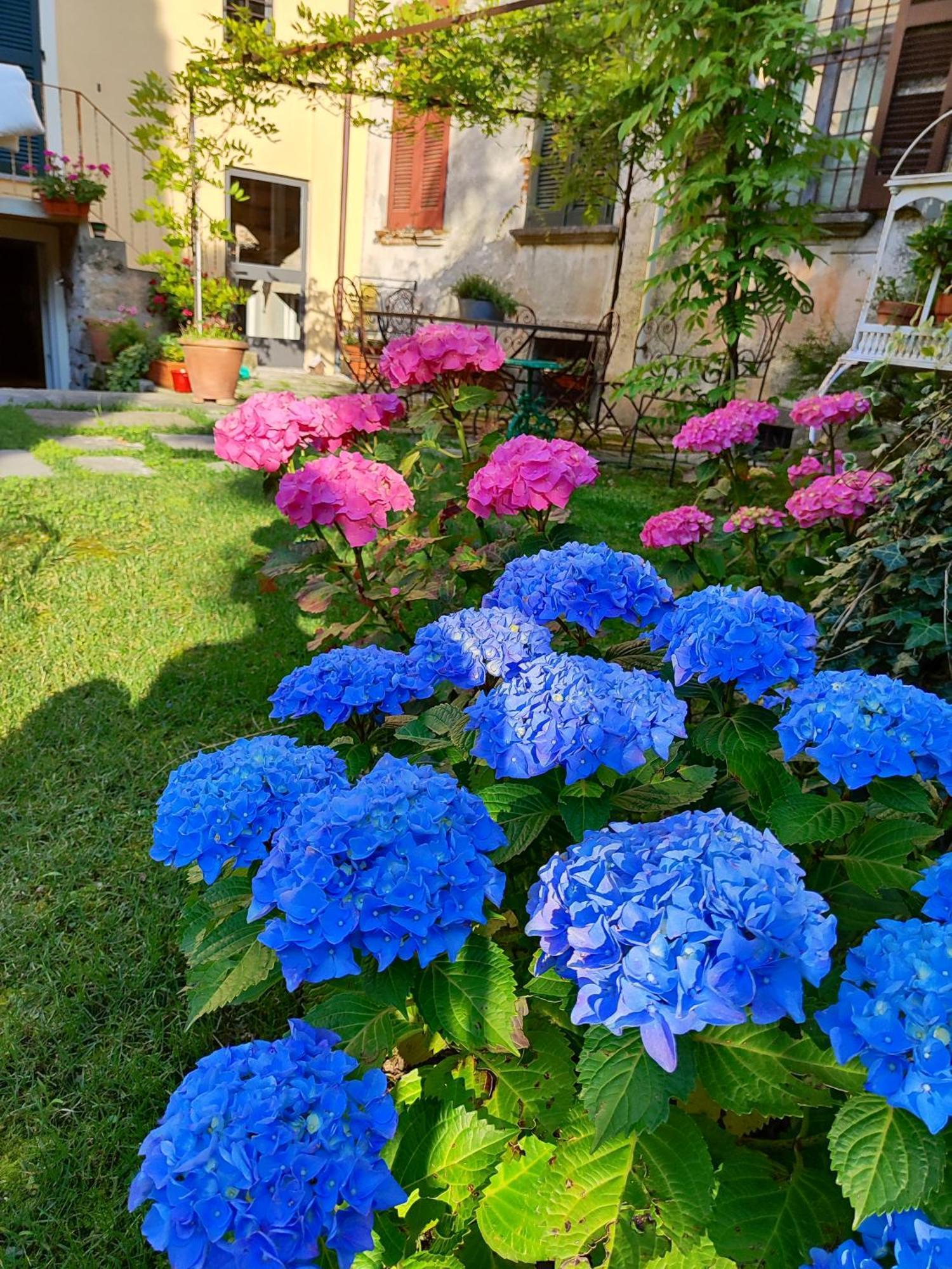Casa Lumaca Bed & Breakfast Tremezzo Eksteriør bilde