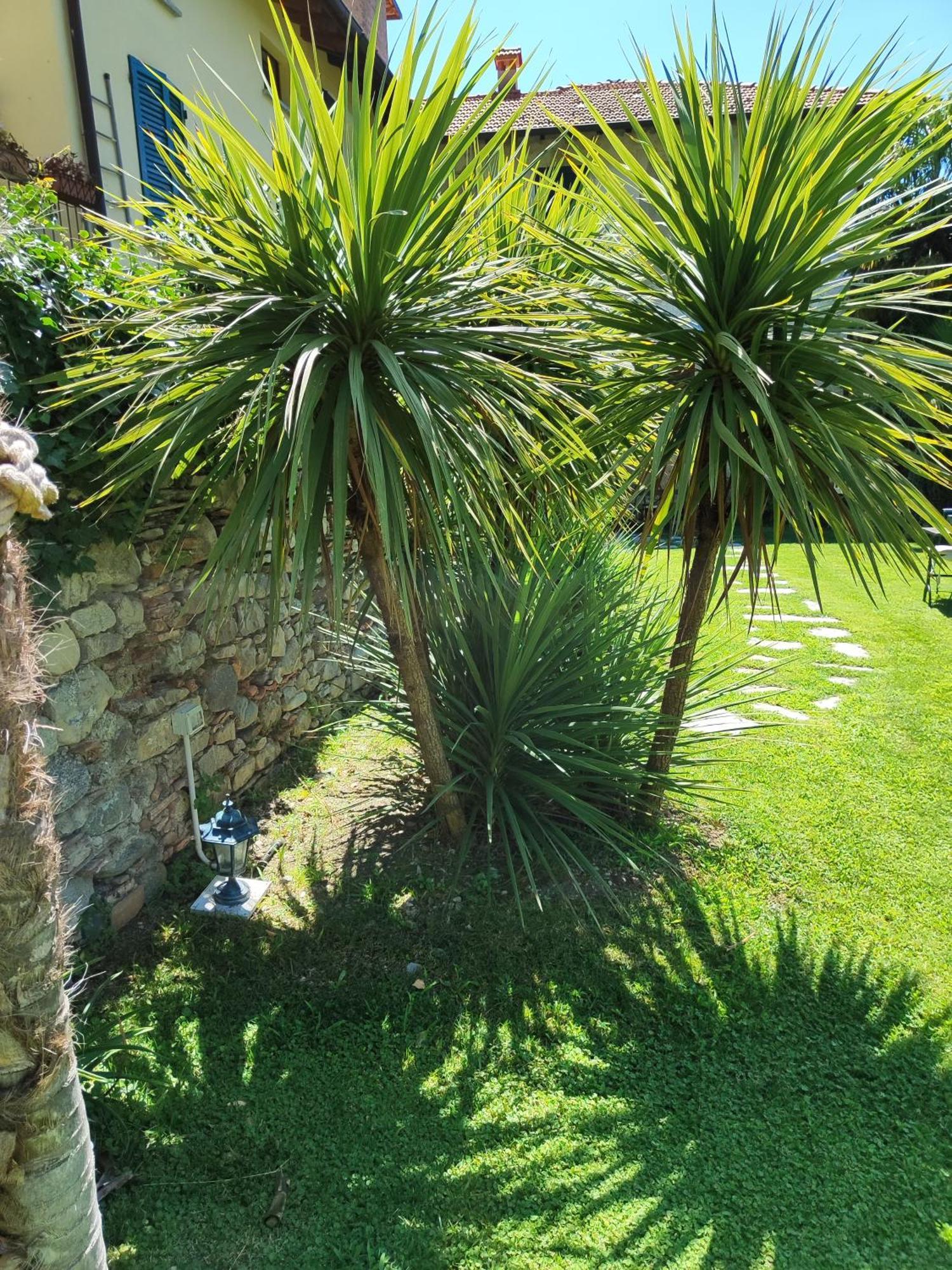 Casa Lumaca Bed & Breakfast Tremezzo Eksteriør bilde
